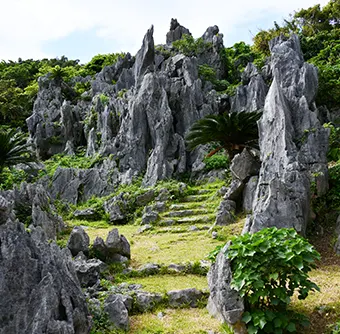 やんばる国立公園 大石林山